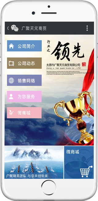 廣聚天元商貿(mào)有限公司微網(wǎng)站案例展示